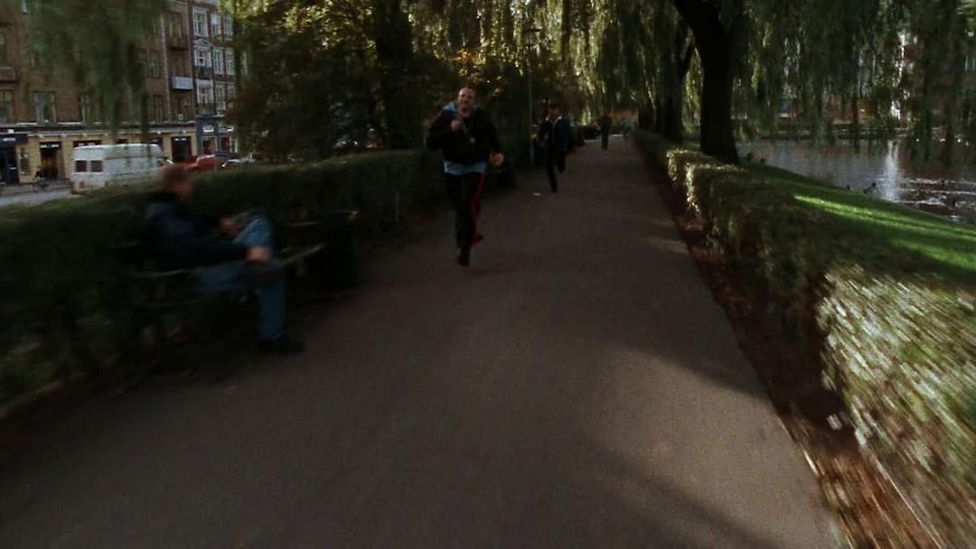 Дилер backdrop 3