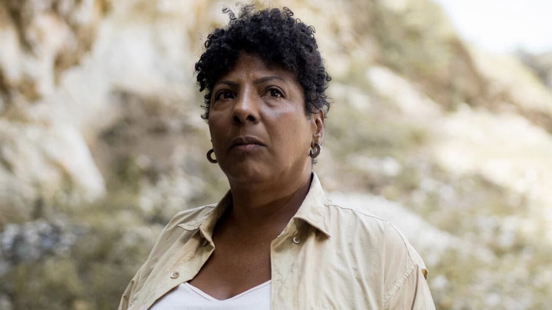 Yellow Cake backdrop 1