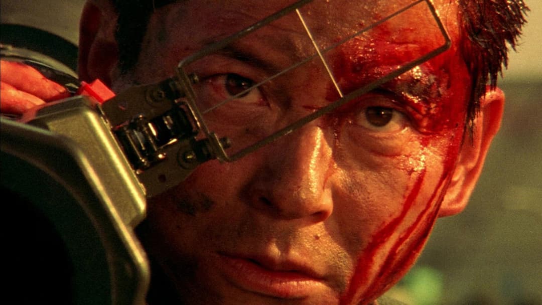 Dead or Alive backdrop 11