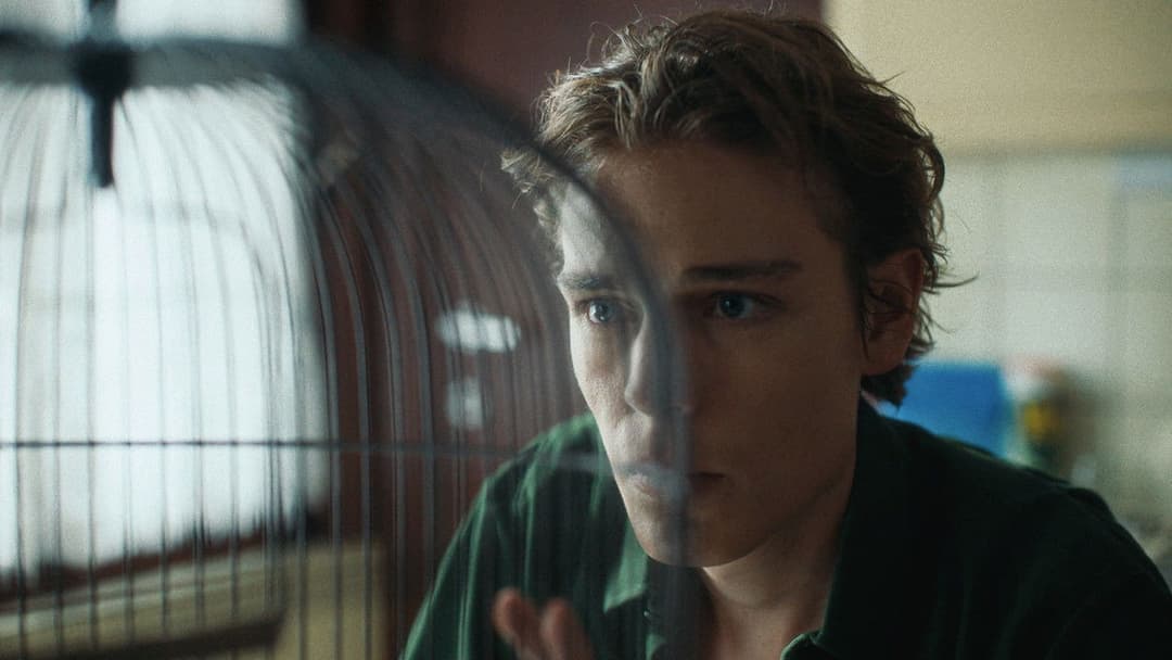 The Catcher backdrop 2