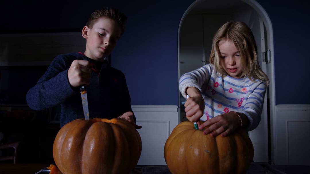 Стефані backdrop 2