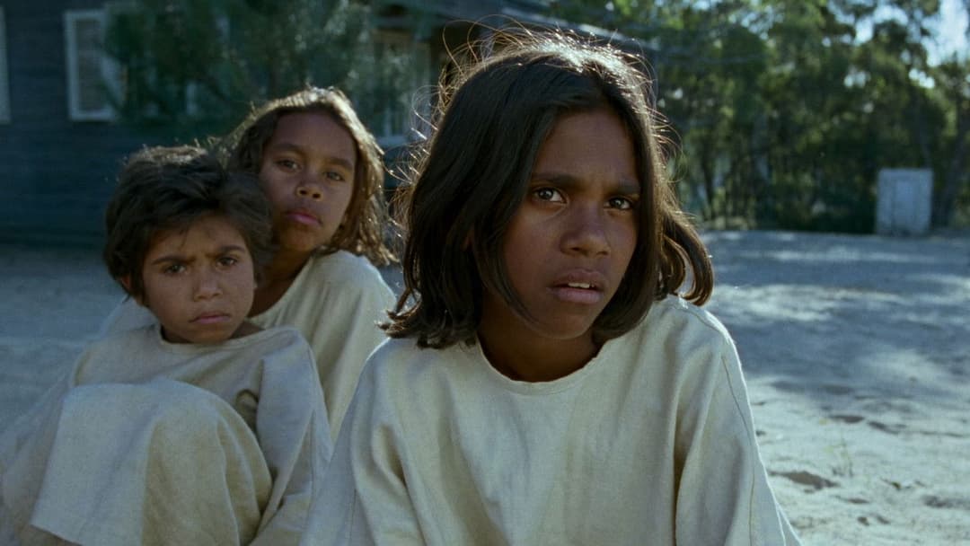 Клітка для кроликів backdrop 3