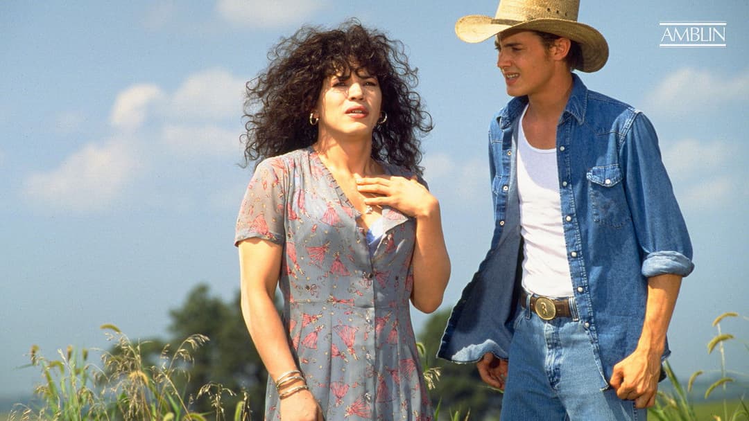 Вонг Фу. З подякою за все, від Джулії Ньюмар backdrop 12