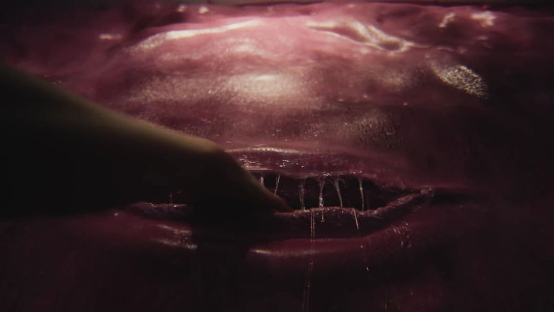 Teenage Sex and Death at Camp Miasma backdrop 9