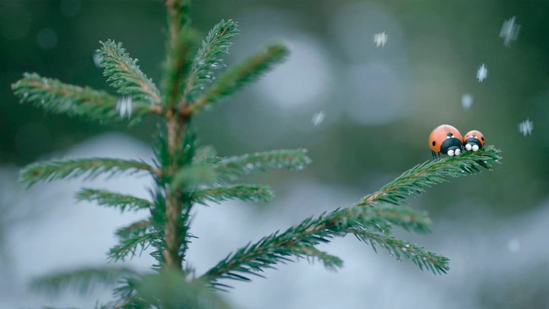 Комашки 2. Карибські пригоди! backdrop 6