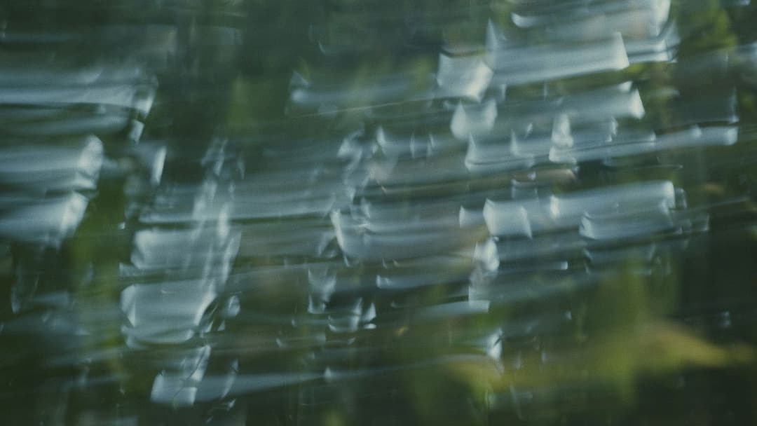 Para atrapar el viento backdrop 5