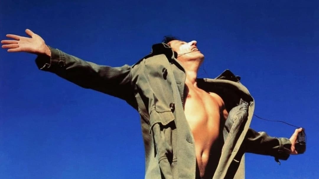 Shine - Der Weg ins Licht