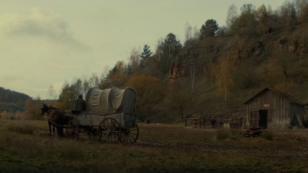 Ніколи не старіти backdrop 6