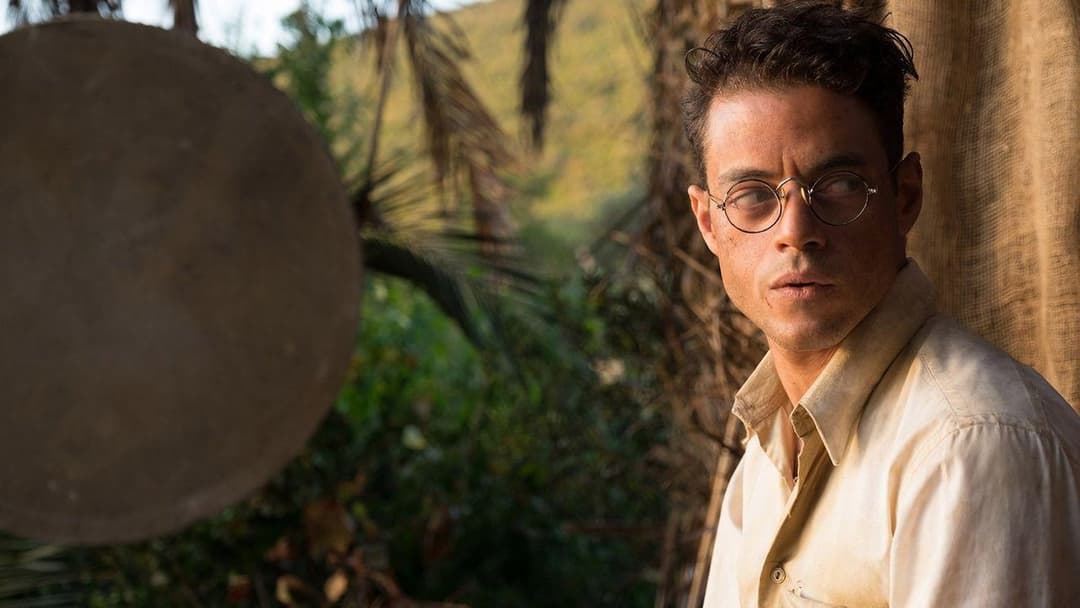 Метелик backdrop 16