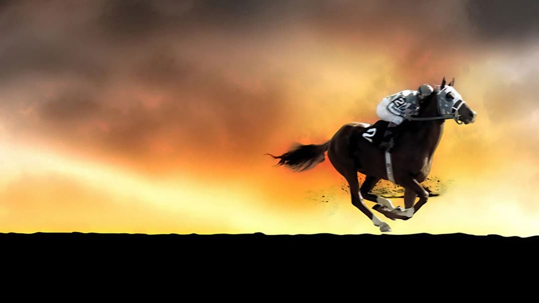 Secretariat backdrop 10