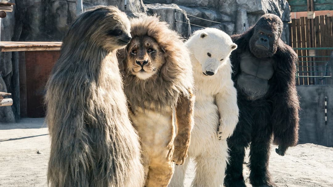 Secret Zoo backdrop 4