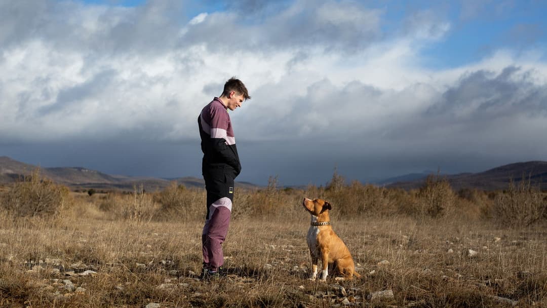 Junkyard Dog backdrop 13