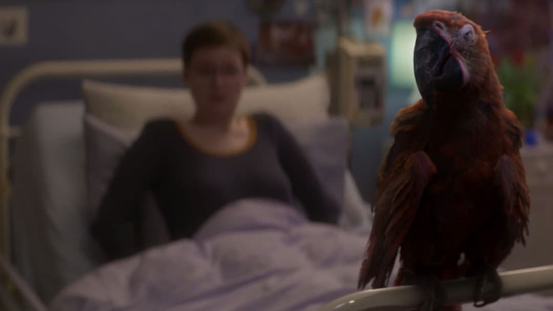 Тьюздей backdrop 11