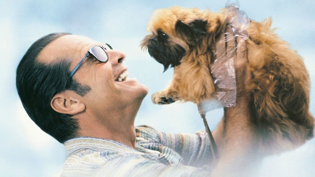 Besser geht's nicht backdrop 20