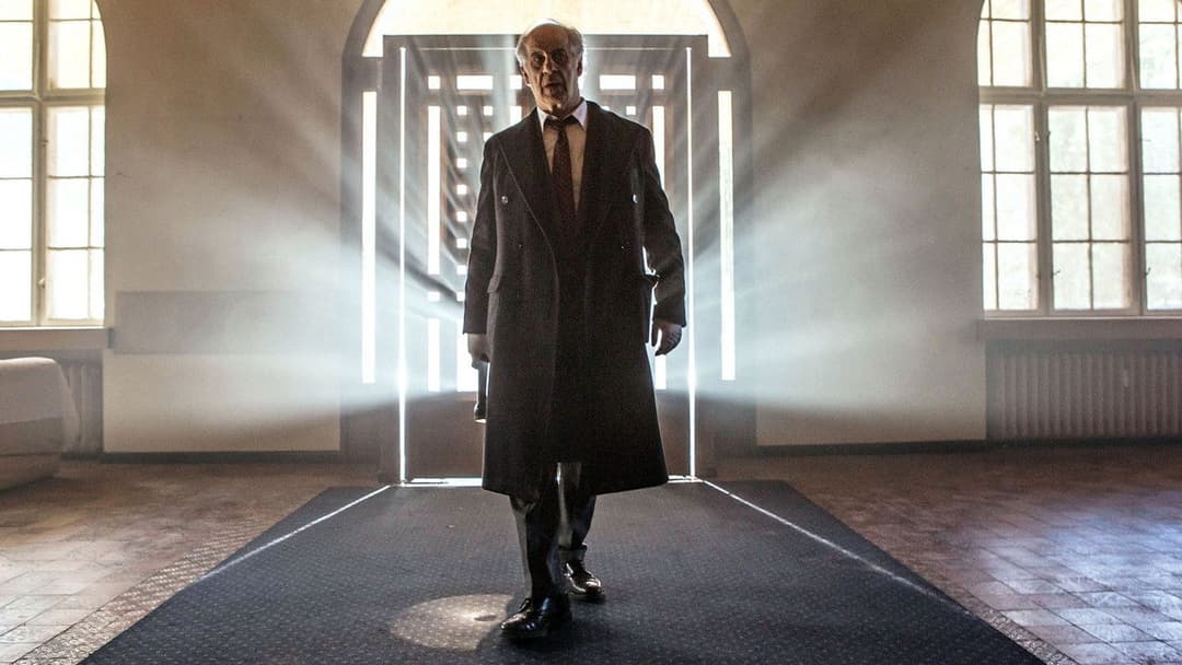 Дівчина в тумані backdrop 2