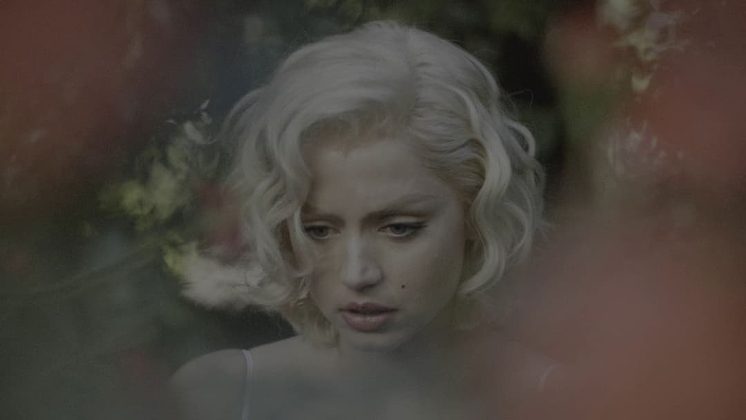 Білявка backdrop 10