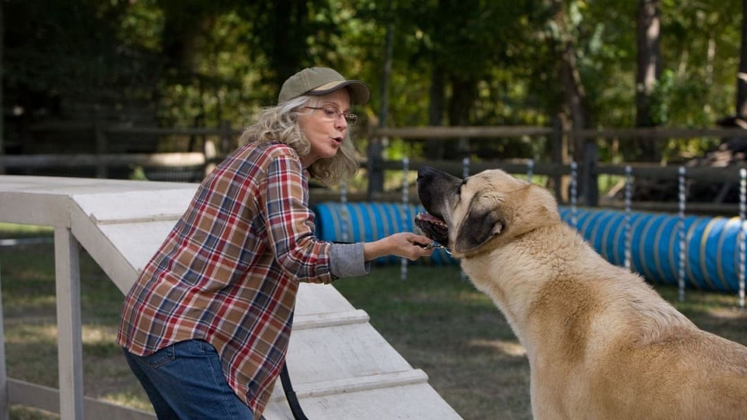 The Lucky One - Für immer der Deine backdrop 17