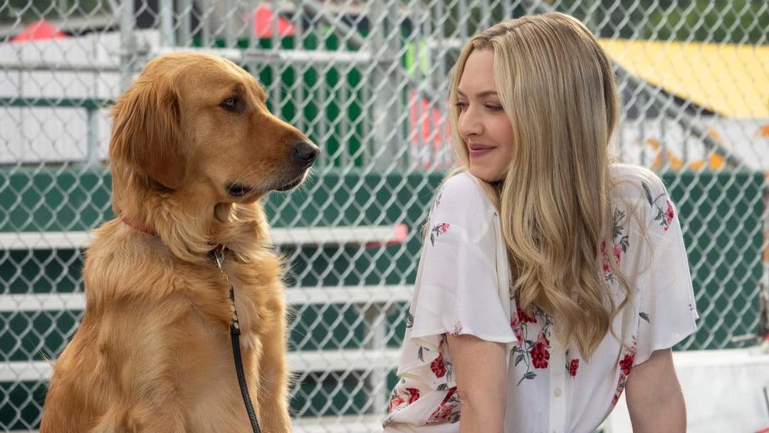 Enzo und die wundersame Welt der Menschen backdrop 11