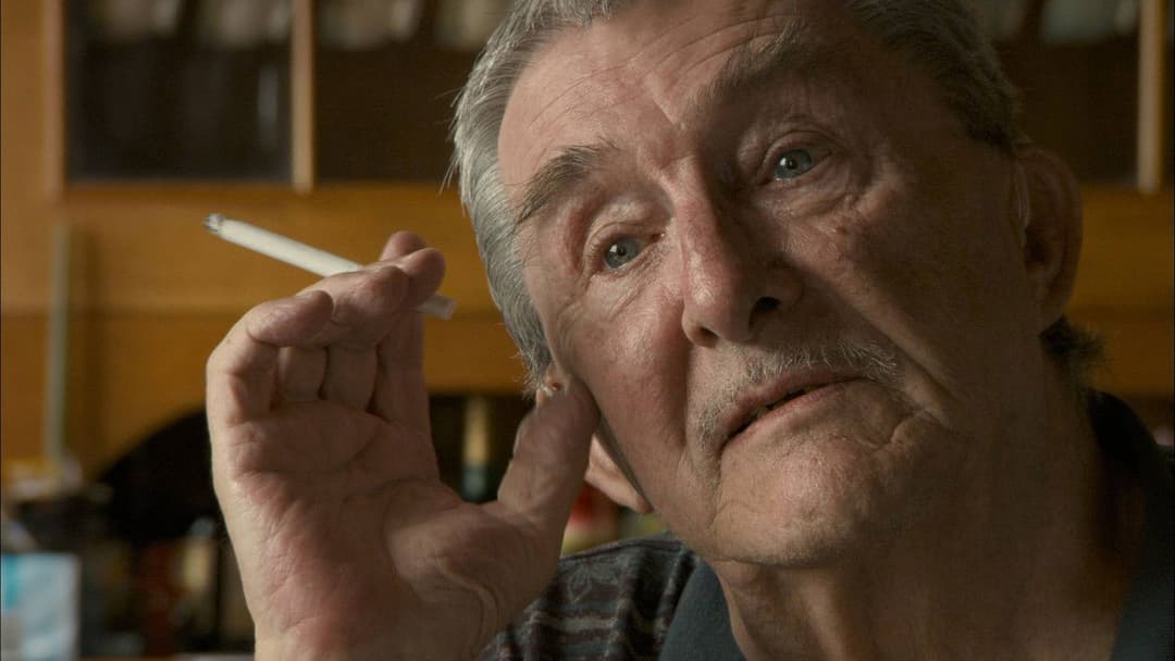 Stories We Tell backdrop 5