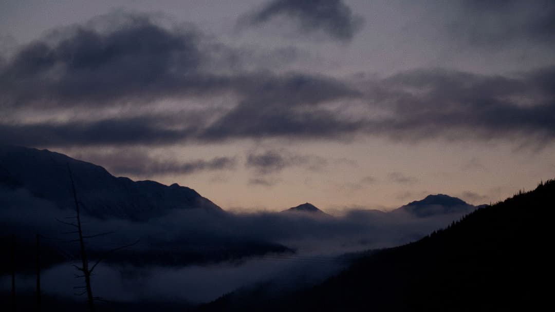 Prettier in Whittier backdrop 8