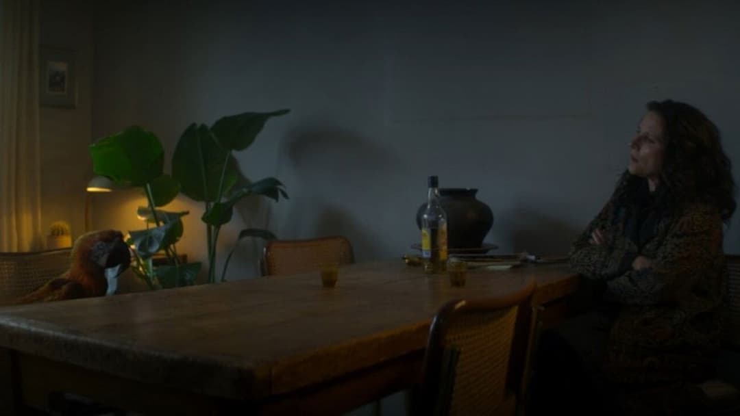 Тьюздей backdrop 10