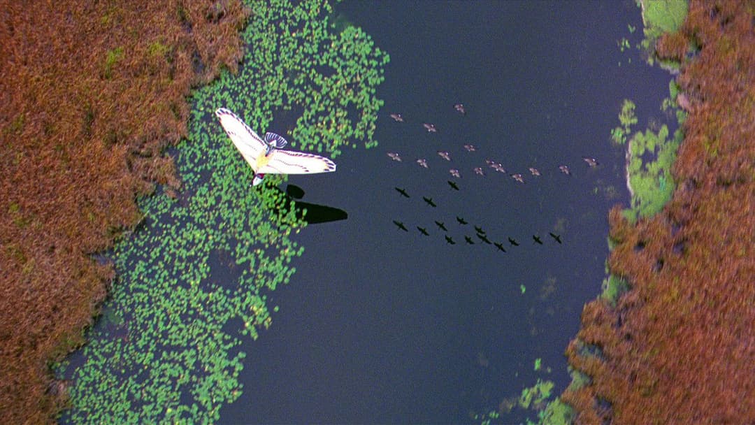 Amy und die Wildgänse backdrop 6