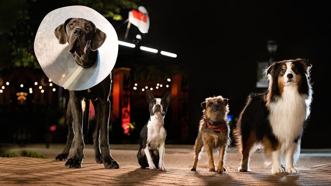 Doggy Style backdrop 6