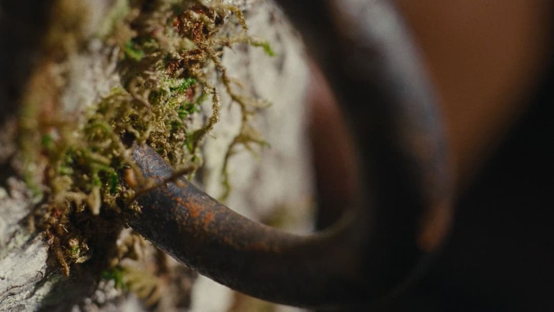 Nickel Boys backdrop 19