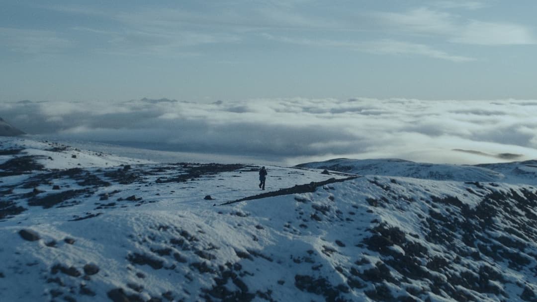 Suddenly - Überleben im Eis backdrop 6