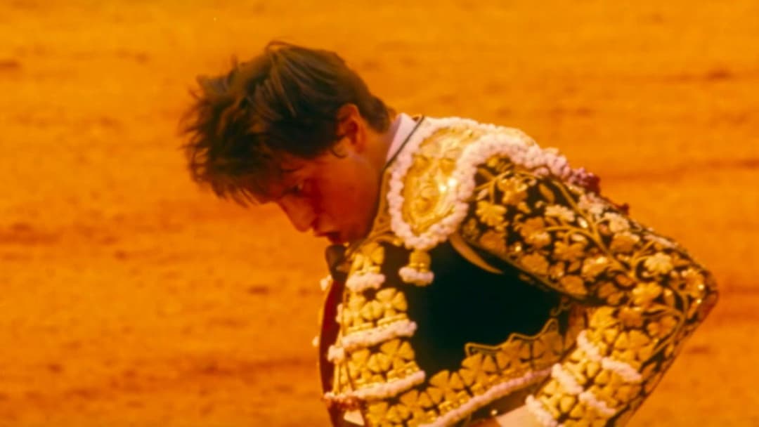 Afternoons of Solitude backdrop 14