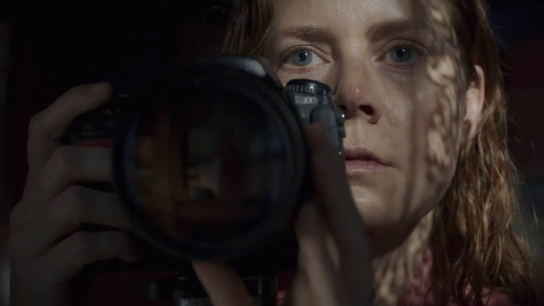 The Woman in the Window backdrop 4