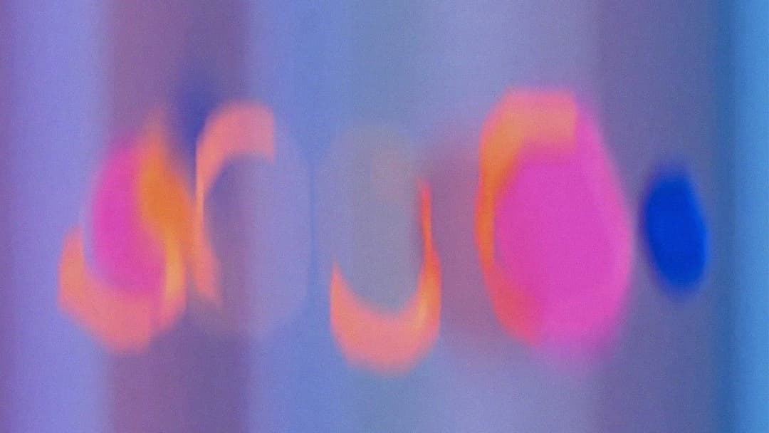 Punch-Drunk Love backdrop 7