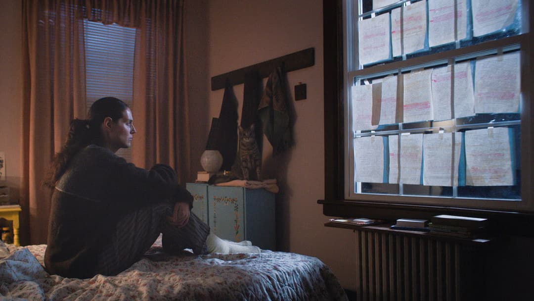 Sorry, Baby backdrop 17