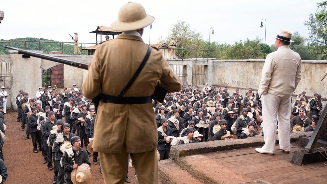 Метелик backdrop 17