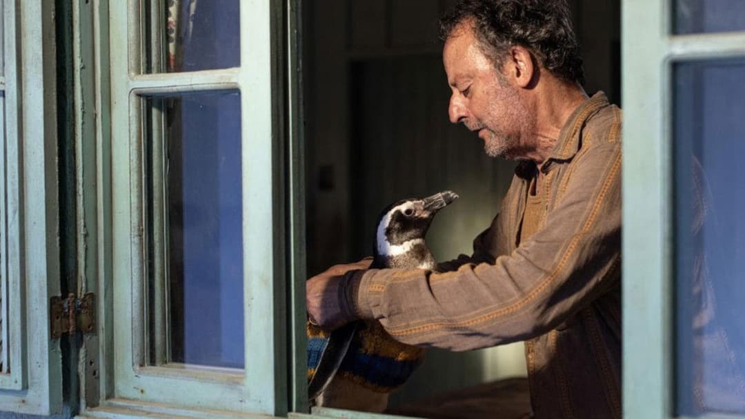 My Penguin Friend backdrop 4