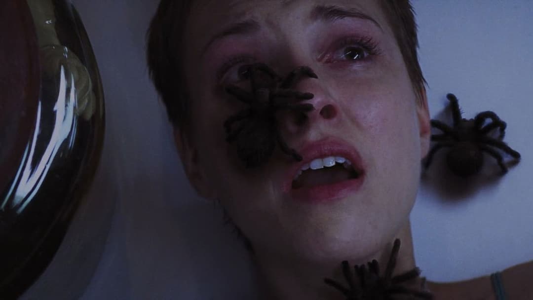 The Collection backdrop 7