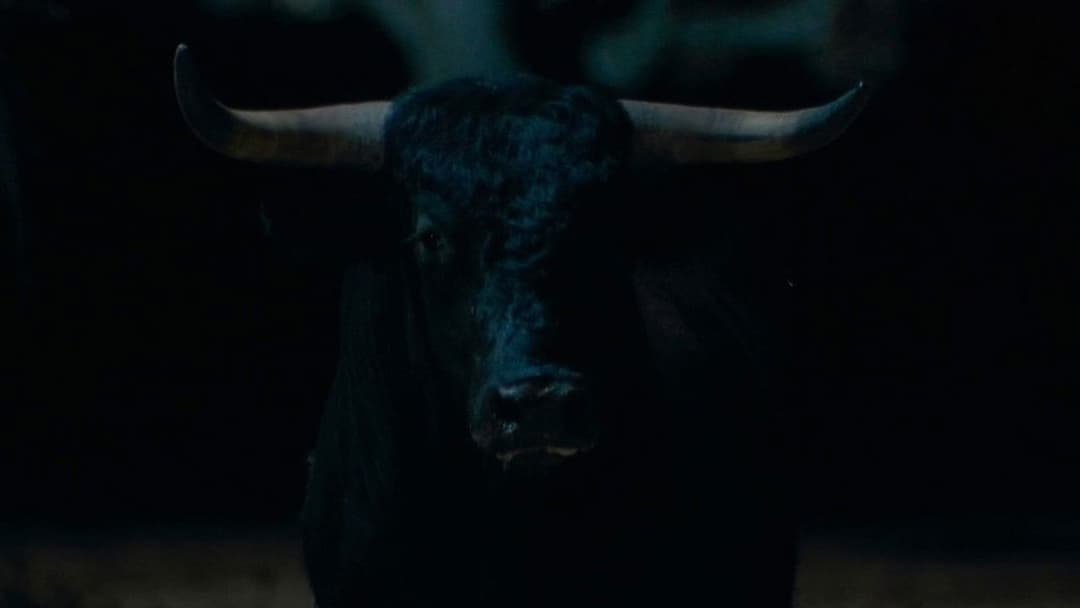 Afternoons of Solitude backdrop 3