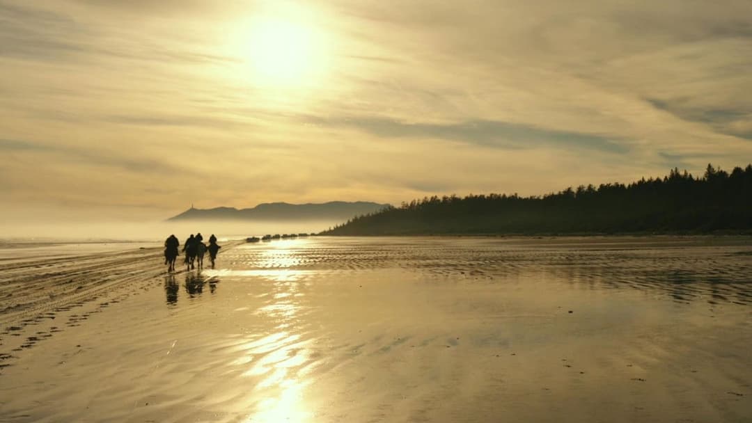 War for the Planet of the Apes backdrop 4