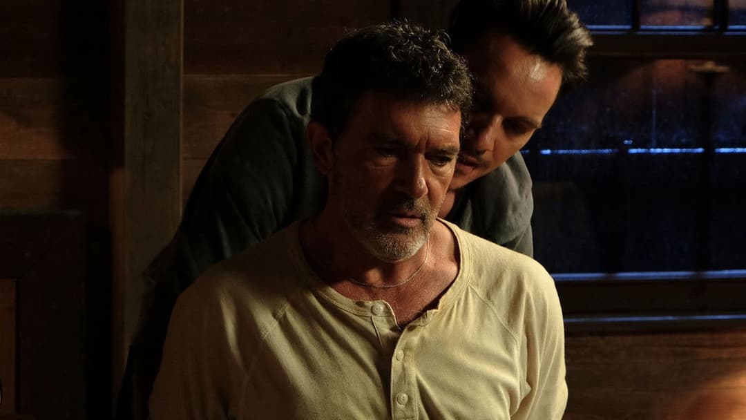 Чорний метелик backdrop 14