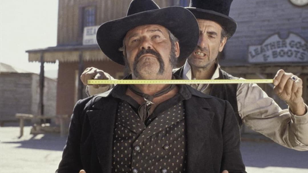 800 balas backdrop 4