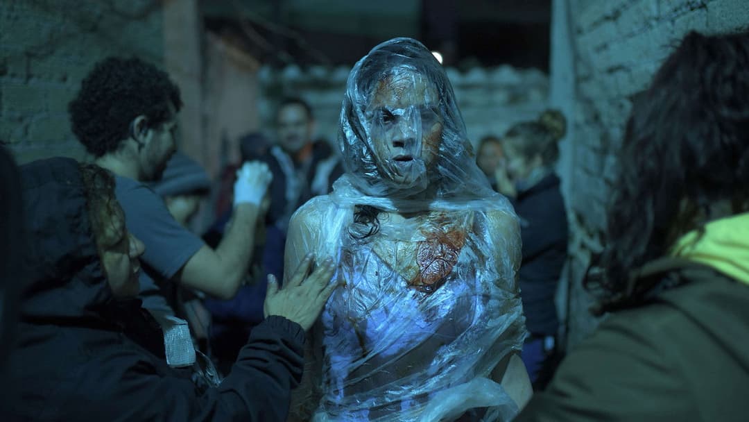 Tigers Are Not Afraid backdrop 16