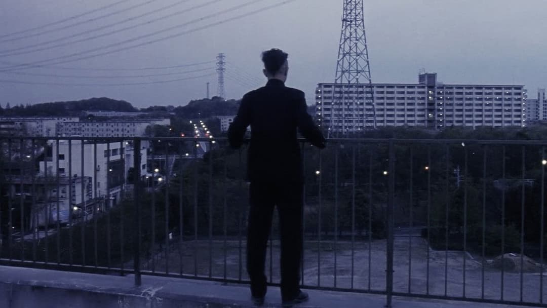 Блакитна весна backdrop 17