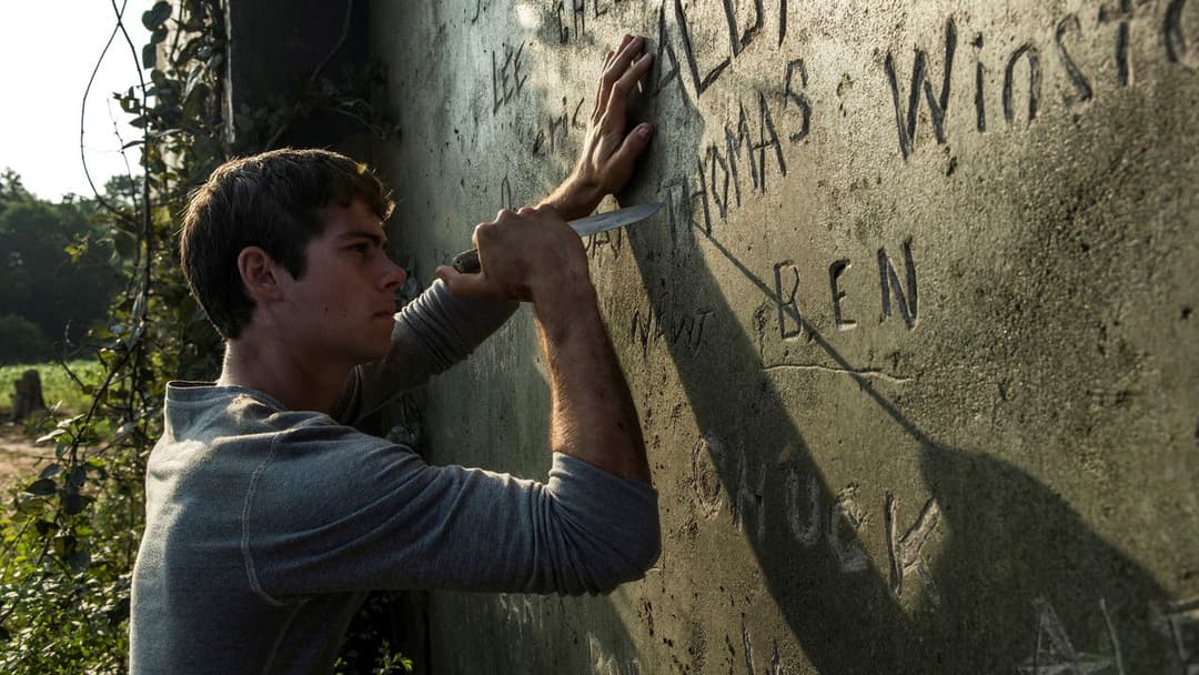 The Maze Runner backdrop 18