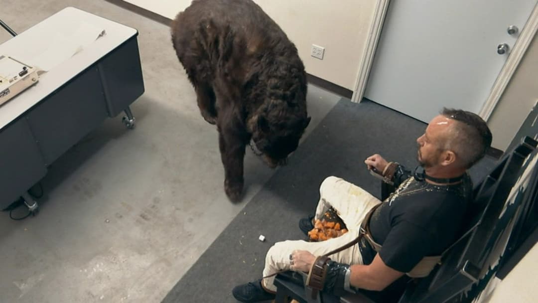 Jackass Forever backdrop 12