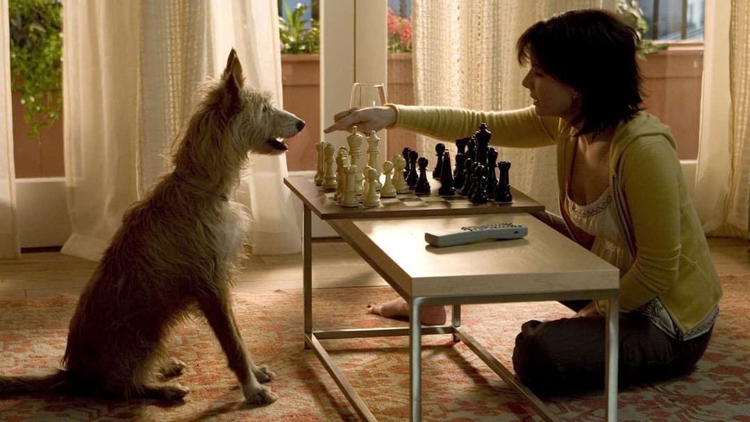 The Lake House backdrop 17