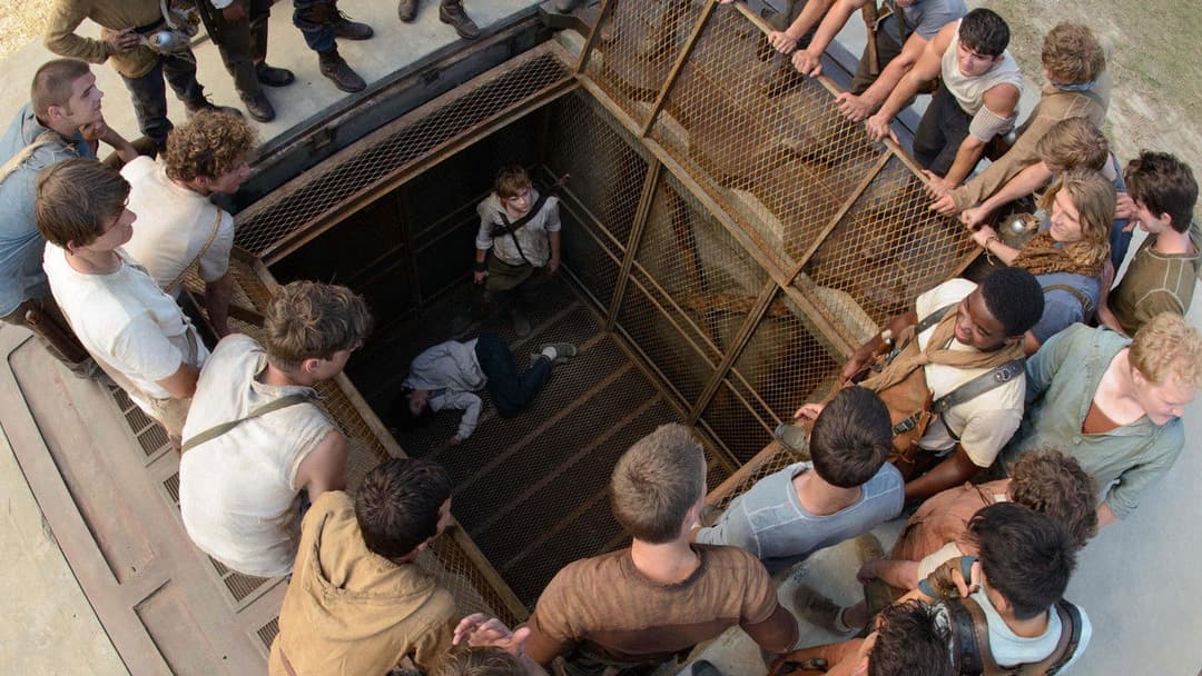 The Maze Runner backdrop 15