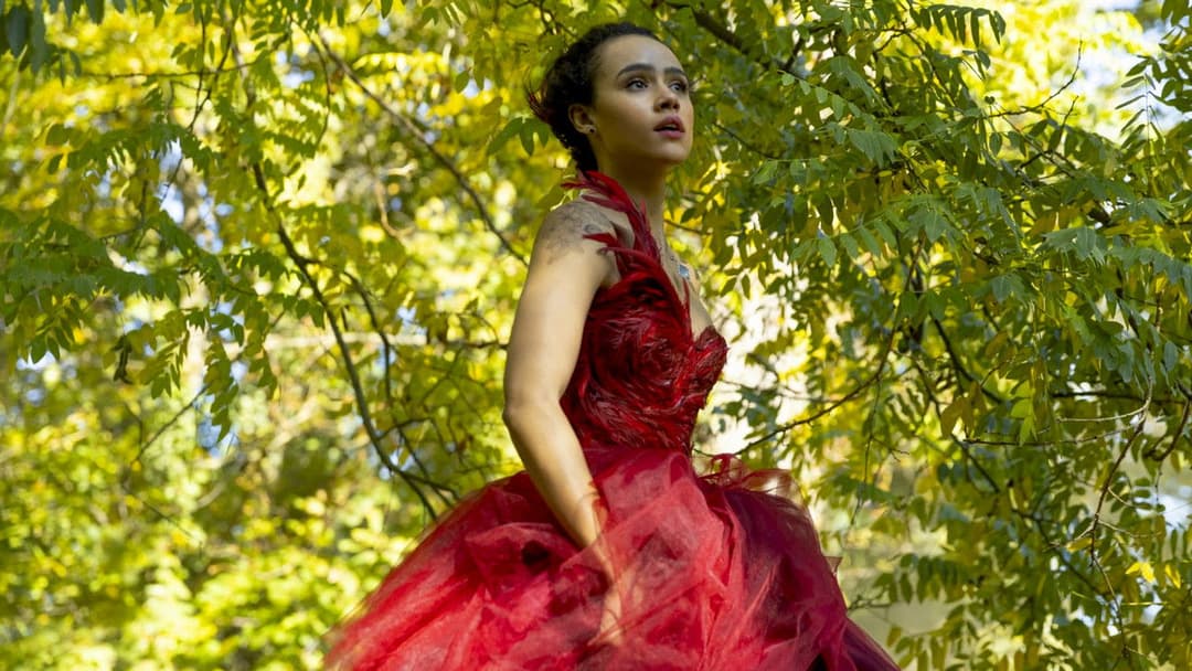 The Invitation backdrop 10