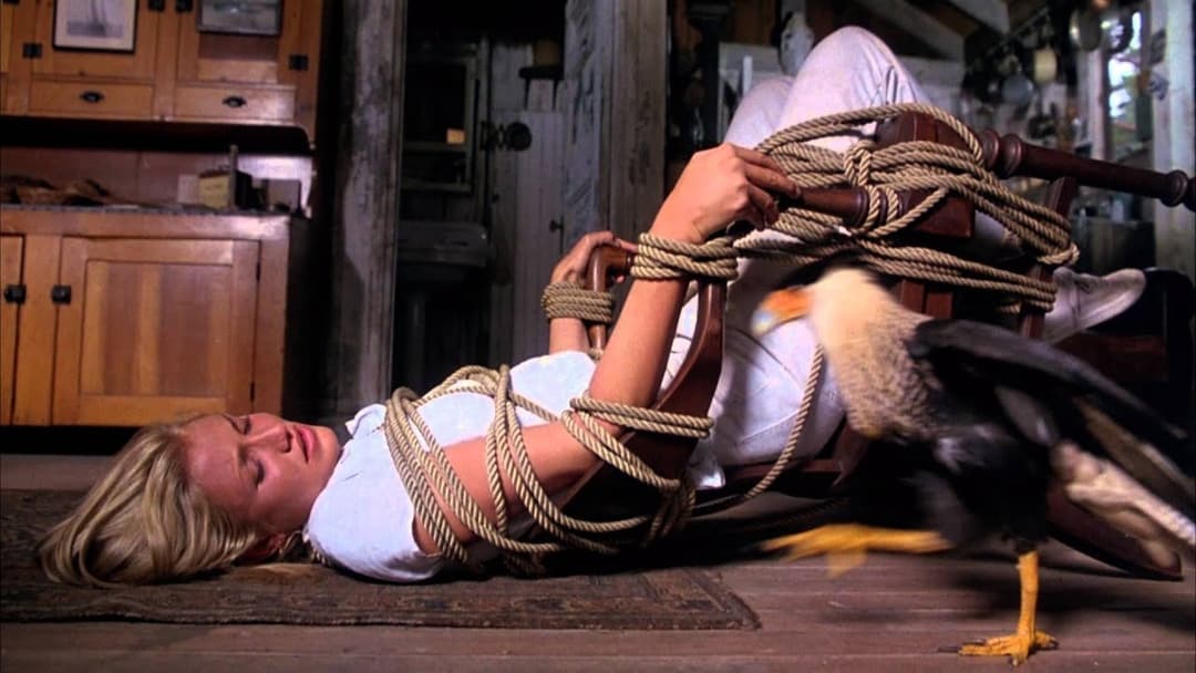 Head Above Water backdrop 6