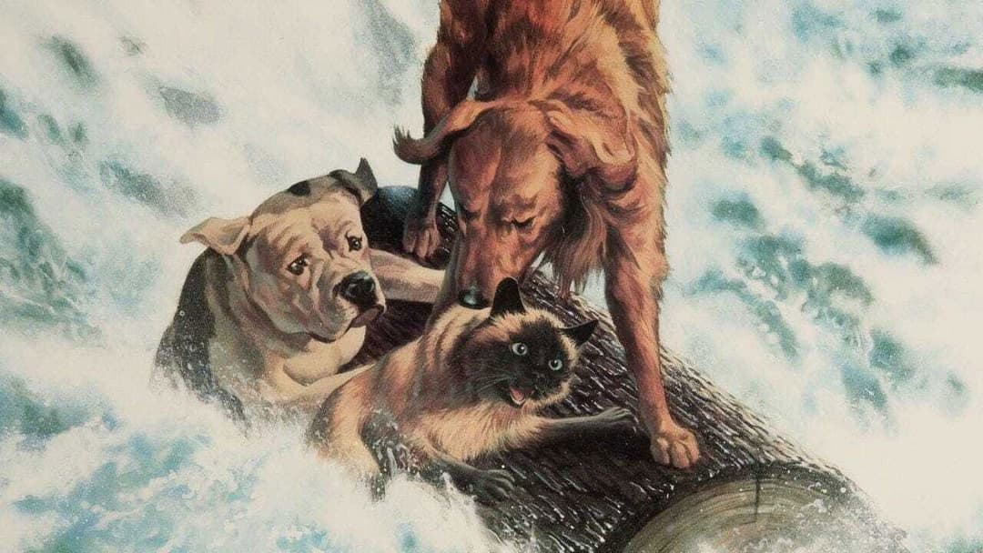 Дорога додому: Неймовірна подорож backdrop 10