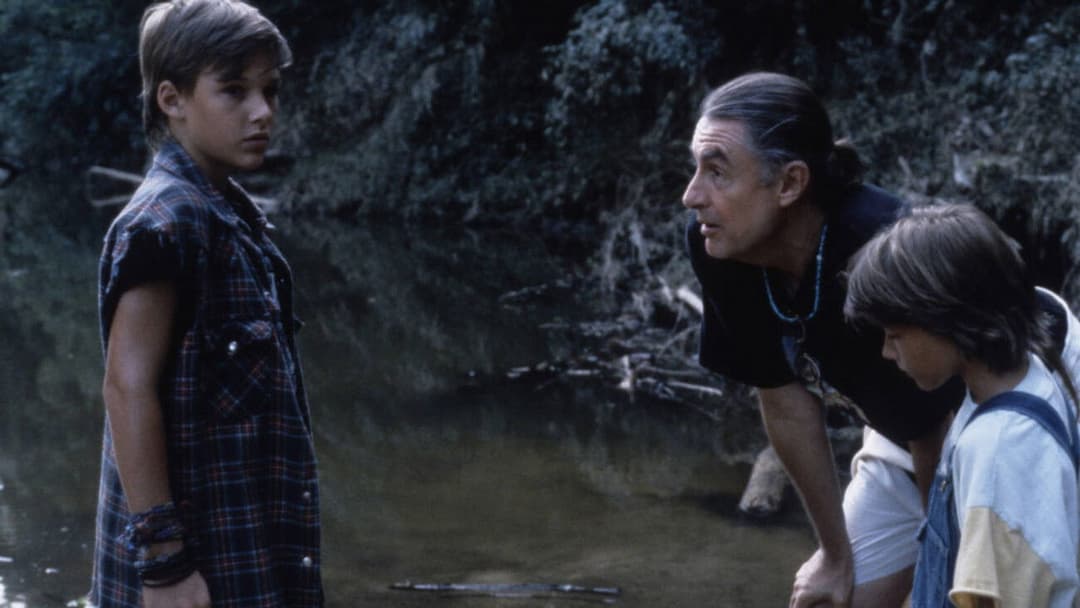 Клієнт backdrop 15